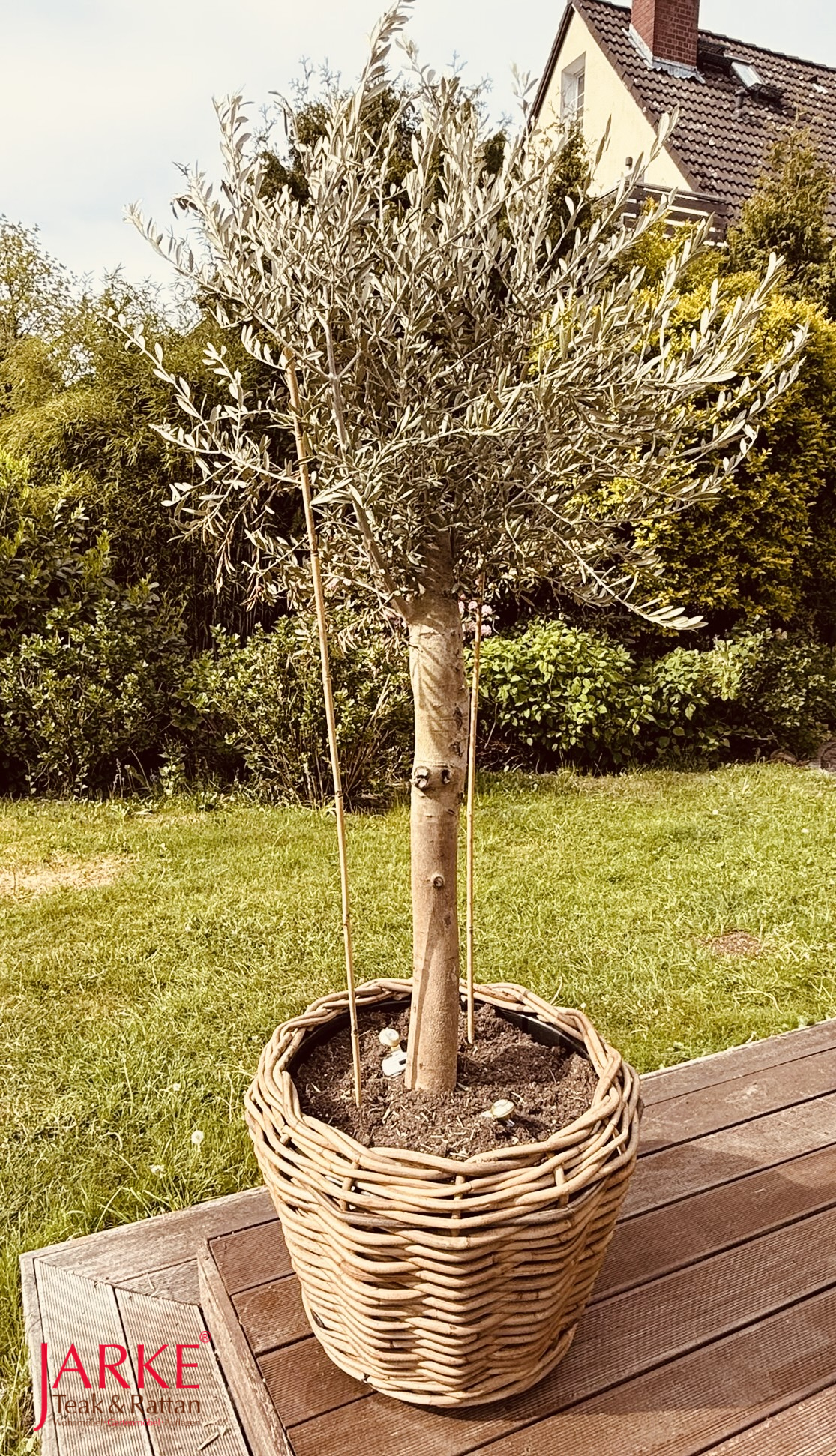 Pflanzkübel "Sylt" aus Kubu Rattan - besonders schön mit dem Olivenbaum