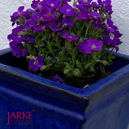 Teraccotta Blumentopf Blau