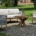 Loungeset Panama, mit Rope-Geflecht und Outdoor-Polstern